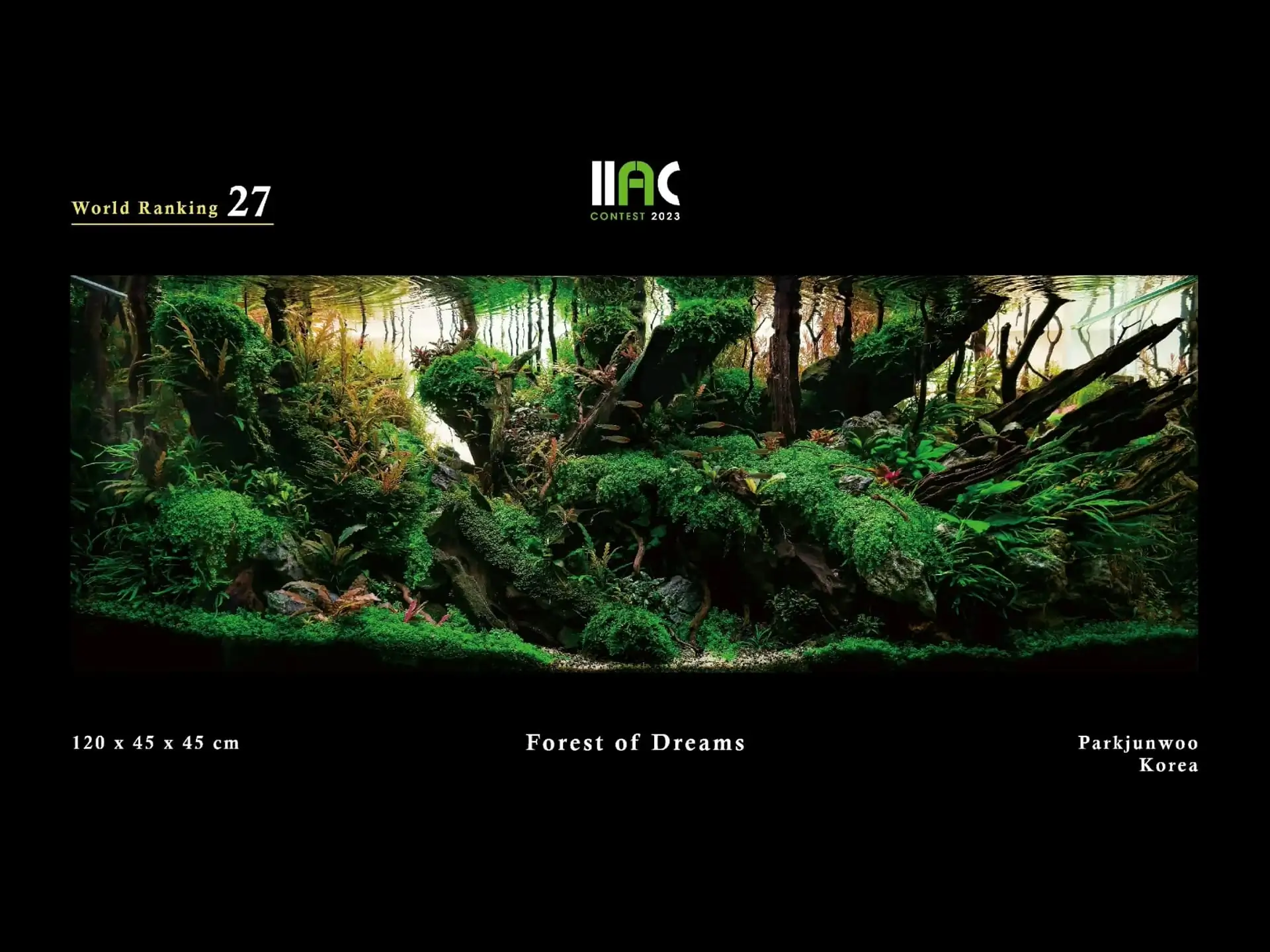 Forest of Dreams - IIAC 2023 #27 Parkjunwoo / South Korea